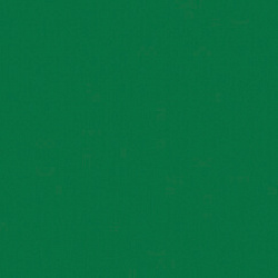 RAL 6029